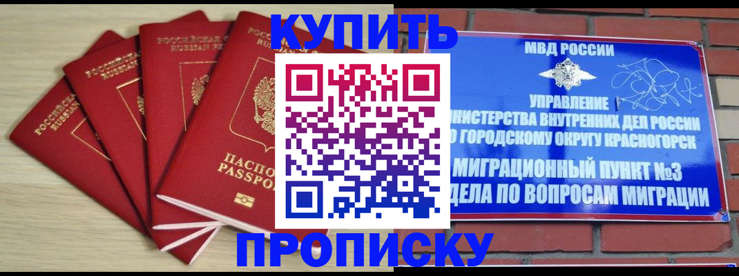 временная регистрация для всех в Заринске